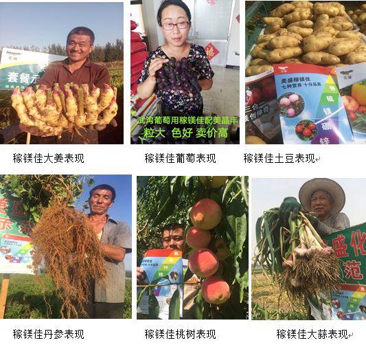 镁佳股份有限公司向港交所提交上市申请|界面新闻 · 快讯